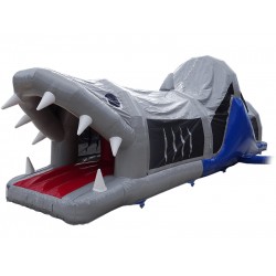 Shark Fun Run Shark Fun Run